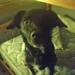 COLLIN DEMAY - @collindemay - Instagram