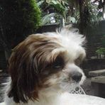 Colein Deocampo - Facebook