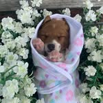 Collin Dougherty - @ur_mom2064 - Instagram