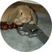 Collin Doyle - Facebook
