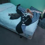 collin drake - @collindrake4 - Instagram