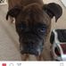 Collin Drake Montgomery - Facebook