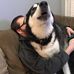 Collin Ellison - Facebook
