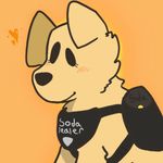 Collin Ellison - @soda_dealer - Instagram