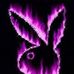 Collin Engels - Facebook