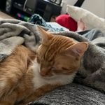 Collin Ervin - @collinervin3 - Instagram