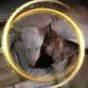 Colin Etherton - @colin.etherton - TikTok