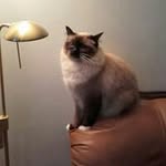 Colin Everett - @everett.colin - Instagram