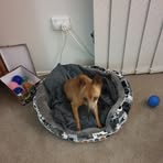 Colin Everett - Facebook