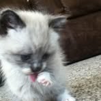 Collin Fehr - Facebook