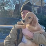 @_collinferguson_ - Instagram