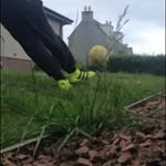 Colin Ferguson - @colin_ferguson - Instagram