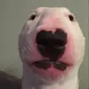 Collin Ferguson - @collin_ferguson2.0 - TikTok