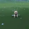 11211903474533244 - @collinlinkfield5 - TikTok