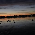 Colin Fitzpatrick Decoys - @colinfitzpatrickdecoys - Instagram