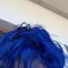Collin Fitzpatrick - @dabluehairboy - TikTok