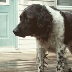 collin frederick mcshane - @collin_mcshane05 - Instagram