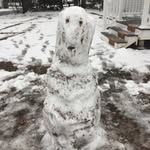 Collin Frederick OSullivan - @gnarlyratking1 - Instagram