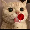 Collin Freeman - @collin.freeman - TikTok