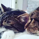 Collin & Frieda - @coll.infrieda - Instagram