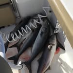 @collin.gates77 - Instagram