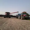 Collin Gill - @collin.gill - TikTok