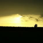 COLLIN GILLER - @collingiller - Instagram