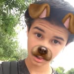 collin 🐶 - @collin.gordon - Instagram