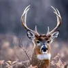 Collin Grady - @collin.grady5 - TikTok