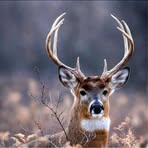 Collin Grady - Facebook