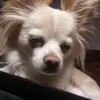 collingreene793 - @collingreene793 - TikTok