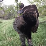 Collin Grover - @collin_grover40 - Instagram