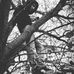 Colin Hamilton - Facebook