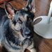 Collin Hamilton - Facebook