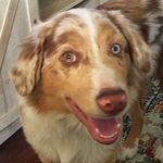 Collin Hampton - @collinhampton - Instagram