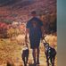 Collin Hampton - Facebook