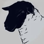 Colin Hancock - @lochfynesuffolks - Instagram