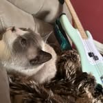 collin hansen - @collinhansen7 - Instagram