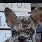Collin Hansen - Facebook