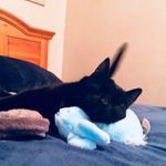 Collin Hanson - @collinhanson40 - Instagram