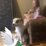 Colin Harrison - Facebook