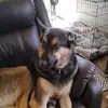 Collin Harrison - @collin.harrison7 - TikTok