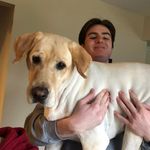 Collin Harvey - @collinh715 - Instagram
