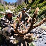 Collin Hill - @collin_hill412 - Instagram
