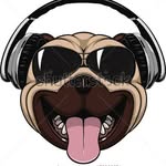 collin holman - @doggiebuddie - Instagram