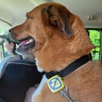 Collin Holman - @oblong_arrow - Instagram