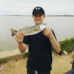 collin howard - @collinhoward8522 - Instagram