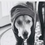 @collin_hunter - Instagram