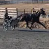collinhunter84 - @collin_hunter - TikTok