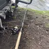 Colin Ingram - @colin.ingram - TikTok